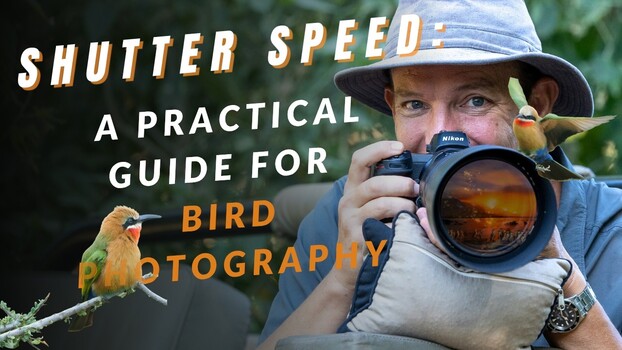 Bird Photography Beyond Maximum Shutter Speed