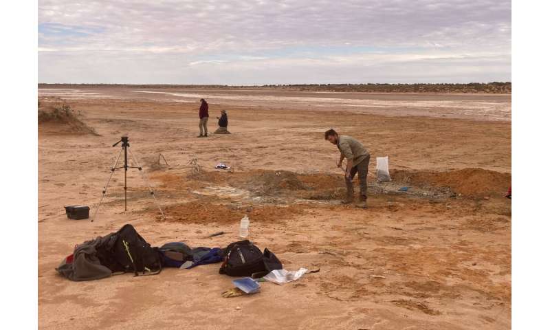 Excavations at the fossil site in Billeroo Creek in 2017 when one of the fossils was recovered. Credit: Aaron Camens (Flinders University) Toothed platypuses swam with dolphins 25 million years ago