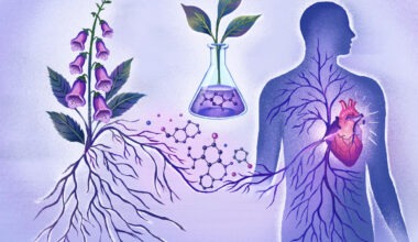 An illustration using soft purples and other pastel shades depicts plant roots connected to the cardiovascular system of a person.