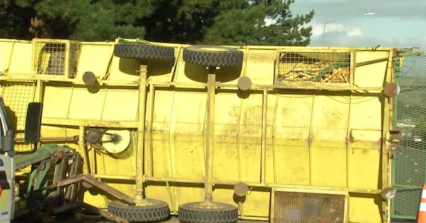 Tractor-trailer crash closes Auckland motorway, one seriously injured