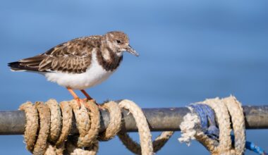 Why Understanding Design is Essential for Photographers