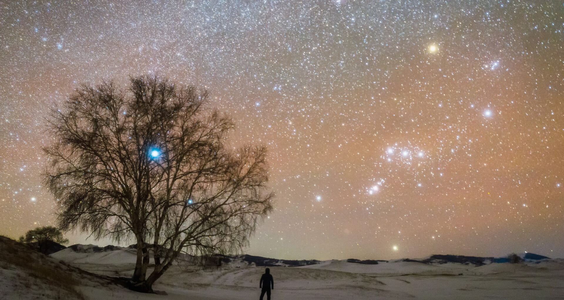 A glowing orange night sky is full of stars overlooking a winter landscape with a large tree in the left of the image