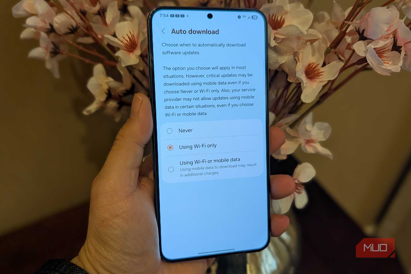 auto update on samsung