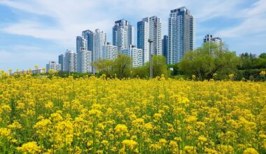 Cities and countryside are merging into one continuous landscape