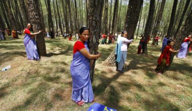 On Earth Day, learn the history behind the 'tree-hugger' : NPR