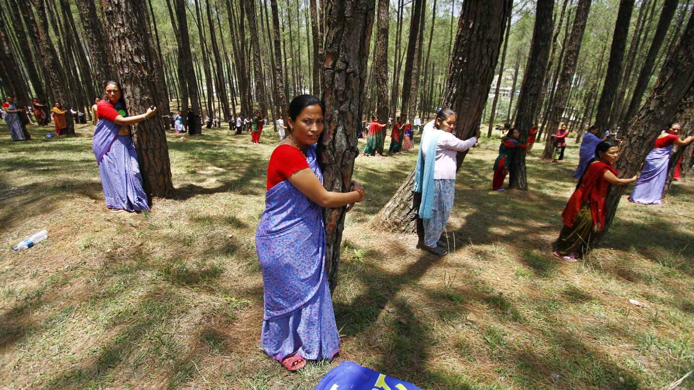 On Earth Day, learn the history behind the 'tree-hugger' : NPR