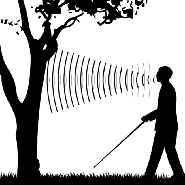 Echolocation