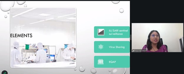webinar pic6 Vaccine Composition Meetings and Strengthening Influenza Surveillance
