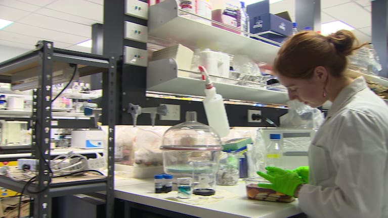 Work at the Victoria University laboratory.