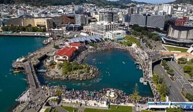 Jono Ridler - Swim4TheOcean campaign heads to NZ Parliament