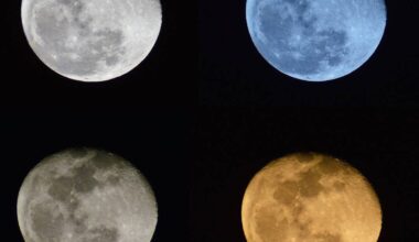 Filtered hues of the Moon. Credit: Dave Dickinson
