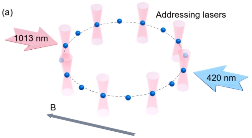 Schematic diagram of the experimental platform for simulating pseudo-vacuum decay in the circular Rydberg atomic array, where the blue dots represent 87Rb atoms. Illustration: Tsinghua University physics department
