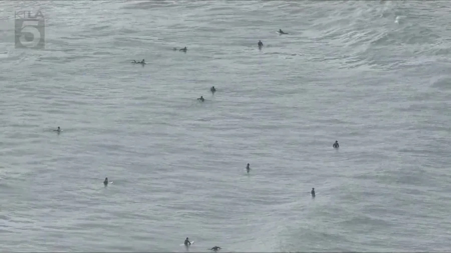 Aerial view of Huntington Beach Pier area with lifeguards on a rescue watercraft and surfers in the ocean after a shark sighting prompted a water closure.