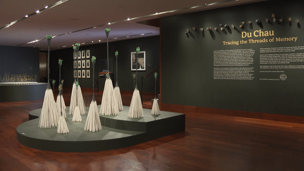 Dallas artist explores memory, hardship in a Crow Museum exhibit – NBC 5 Dallas-Fort Worth