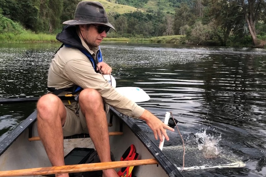 A man on a canoe on a river, lowering a cage into a river.