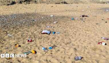 Litter including cans, cardboard packaging and bottles discarded on a sandy beach on a sunny day.
