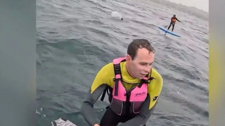 Santa Barbara County shark encounter