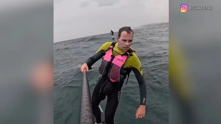 Santa Barbara County shark encounter