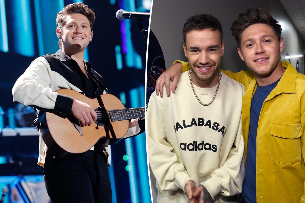 Niall Horan releases emotional song about late One Direction bandmate Liam Payne