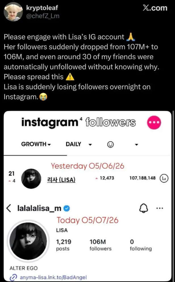 X | Lisa of BLACKPINK reportedly lost 1.1 million followers.