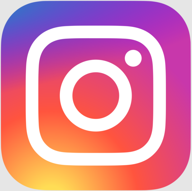 X | This purge seems to be Instagram's efforts to clean its entire platform of spammy and inactive accounts.
