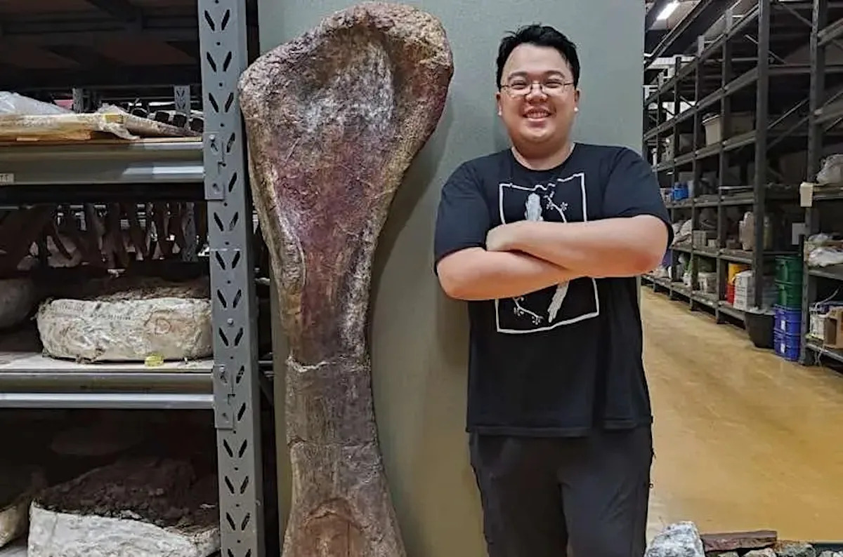 Newly discovered dinosaur, which weighed more than 9 elephants, is the largest ever found in Southeast Asia