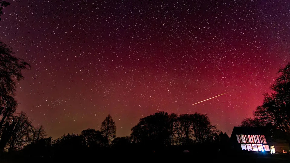 A meteor shoots across a red sky, with the forest below in silhouette below.