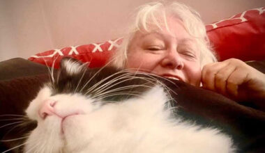 SunLive - Police probe Mount cat shooting