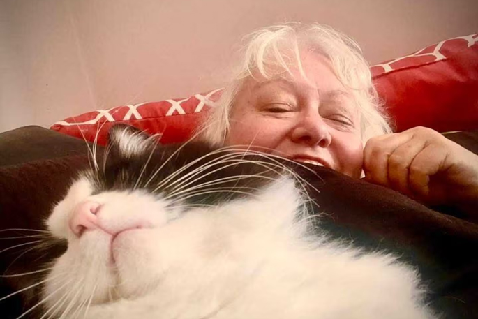 SunLive - Police probe Mount cat shooting