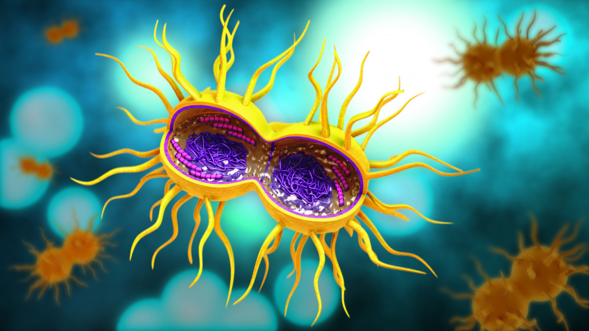 DoxyPEP Effectiveness Against Gonorrhea Is Declining