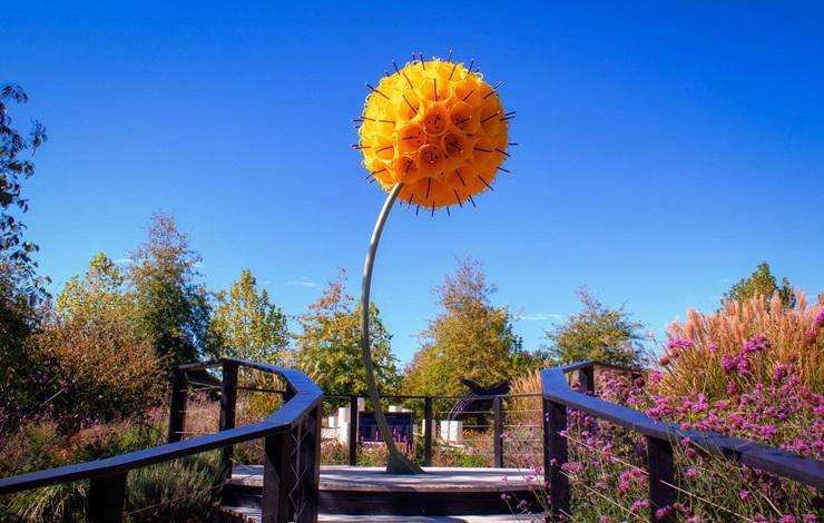 Anthony and Sandra Grant are selling Omaha's Sculptureum after more than 20 years of hard work. Photo / Supplied