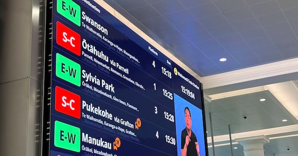 Fears of ‘backlash and mockery’ played into new Auckland rail line names