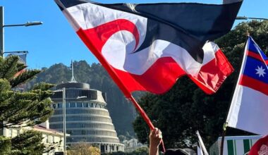 Proposed changes to Treaty clauses revealed