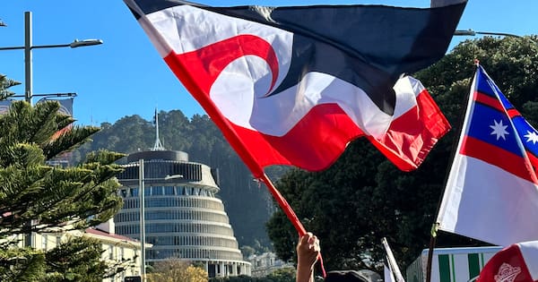 Proposed changes to Treaty clauses revealed