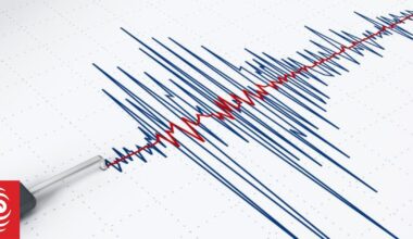 Small offshore quake wakes Wellington
