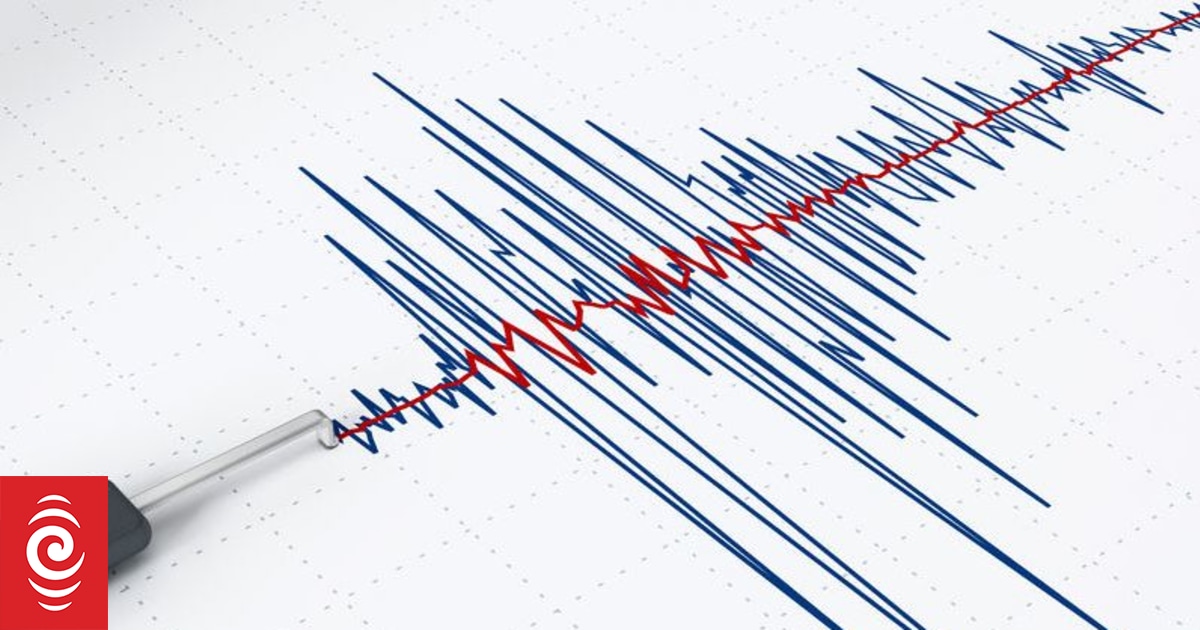 Small offshore quake wakes Wellington