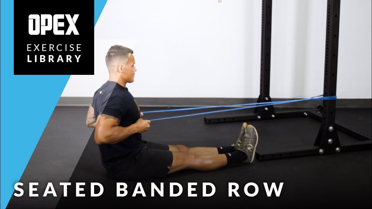 Seated Banded Row - OPEX Exercise Library - YouTube