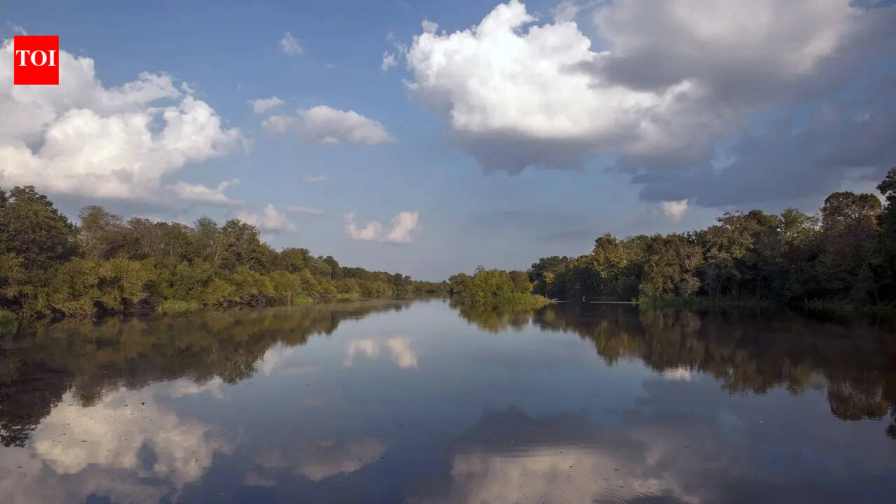 World’s massive Mississippi River shockingly reversed its flow during Hurricane Isaac in 2012 in the United States: Scientists explain what happened | World News
