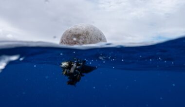 The Great Pacific Garbage Patch could be part of a hidden problem