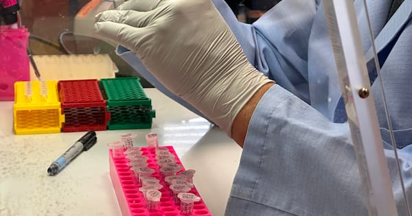 How hantavirus was on cruise ship for weeks before being discovered