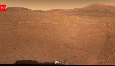 'Crocodile Bridge' on Mars: NASA’s Perseverance rover captures a mysterious ancient region on the Red Planet |