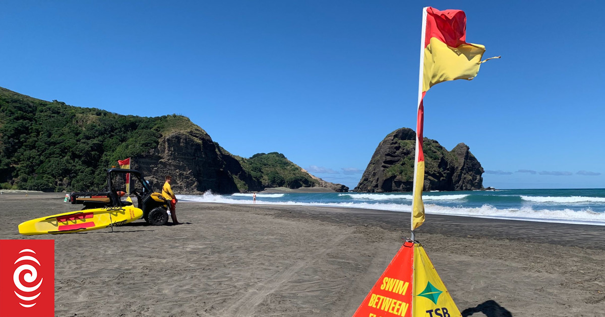 Drowning blackspot Piha: Questions raised about possible delays