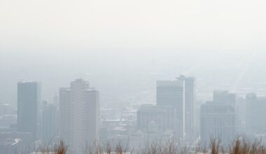 Blaming Asia and Mexico for US Pollution Is Absurd