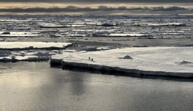 A ‘triple whammy’ of chaos has triggered a downward spiral in Antarctica, scientists discover