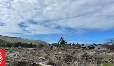 Cyclone Gabrielle exposed the risks of forestry slash. New research suggests little has changed