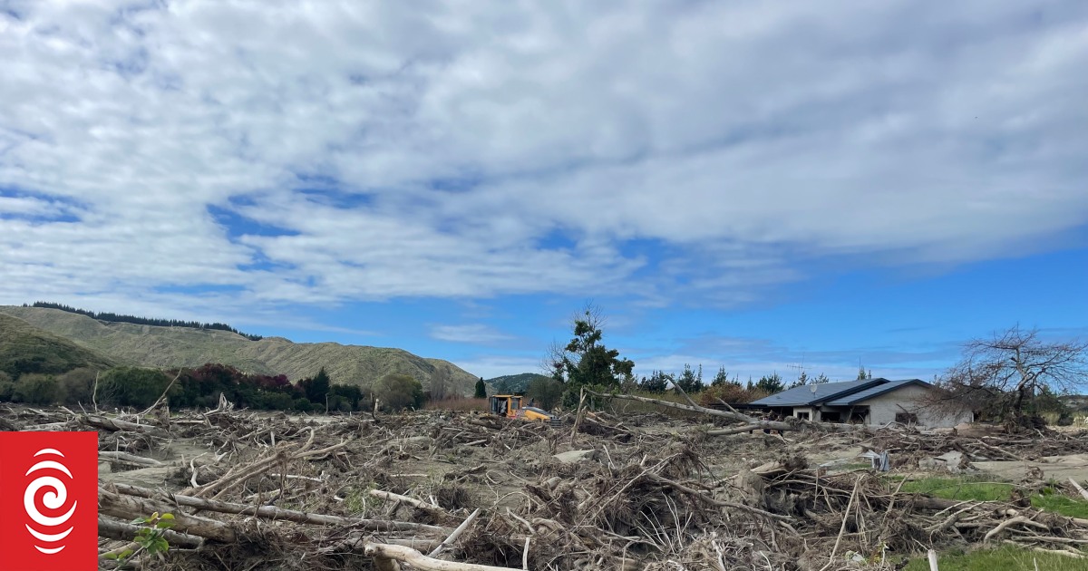 Cyclone Gabrielle exposed the risks of forestry slash. New research suggests little has changed