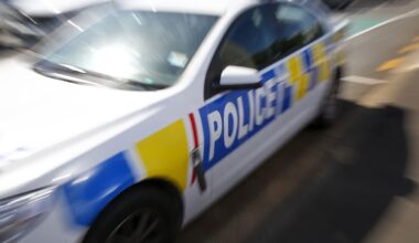 Hamilton robbery: Police hunt offenders after two people seriously hurt