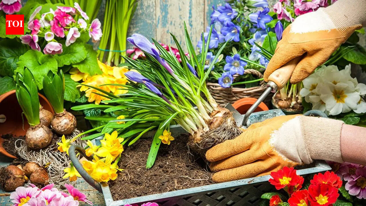 5 gardening tips to try in Google Search to make your plants thrive in UK