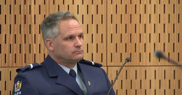 Colleague describes efforts to save officer Lyn Fleming