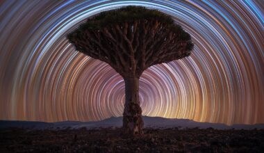 This image just won the public vote in the biggest astrophotography competition on the planet